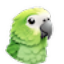Parakeet AI