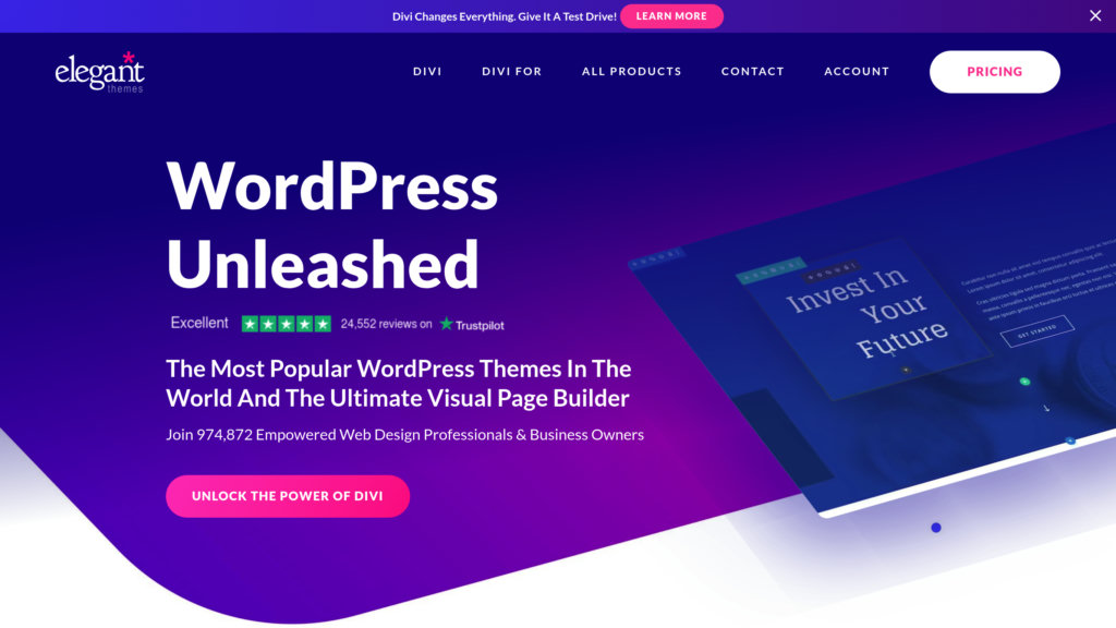 Elegant Themes Divi Screenshot