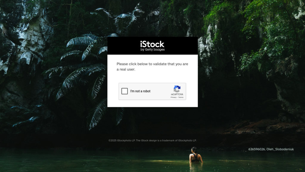 iStock Screenshot