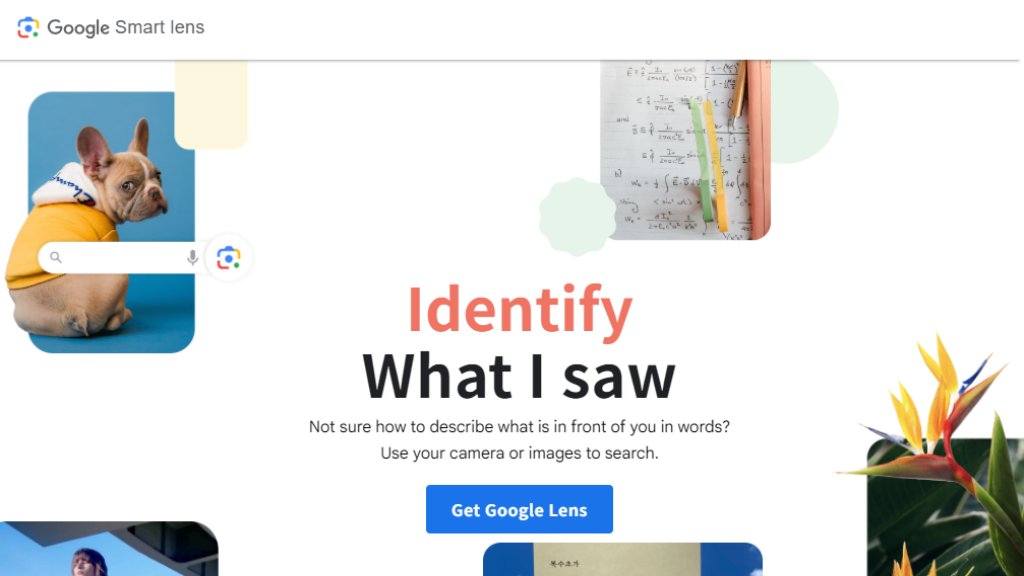 Google Lens Captura de pantalla